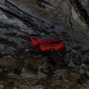 Выставка «Слепая зона» фотографии