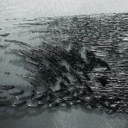 Выставка «Другой текстиль: другой текст/другой стиль» фотографии