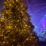 Серия Рождественских концертов от Omega Events фотографии
