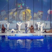 Мюзикл с косатками «Вокруг света за новый год» 2020/2021 фотографии