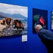 Международный фестиваль дикой природы «Золотая черепаха» 2022 фотографии