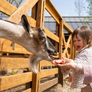 Фото: vdnh.ru