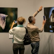 Международный фестиваль дикой природы «Золотая черепаха» 2022 фотографии