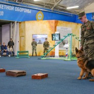 Фото: parkpatriot.ru