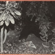 Выставка «Коснитесь кнопки затвора» фотографии