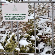 Акция «Елочный круговорот» 2021 фотографии