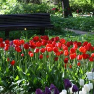 Фото: vk.com/hortus_ru