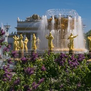 Фестиваль национального гостеприимства «Дружба народов» 2022 фотографии