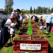 Общественный Огород в Парке Горького 2023 фотографии