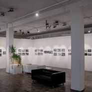 Выставка «Знаки на снегу» фотографии