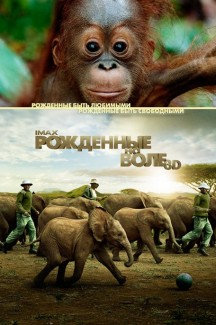 Рожденные на воле 3D