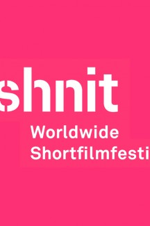 Программа Shnit Worldwide Shortfilmfestival «Worldwide Competition 2»