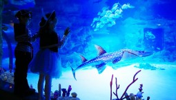 День рождения «Москвариума» 2022