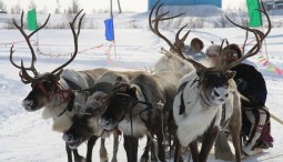 Этно-Старый Новый Год в МУЗЕОНЕ