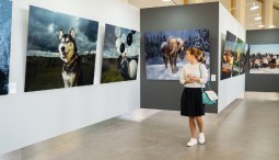 Выставка «Сердце Югры»