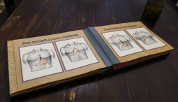Выставка «Пирогов – Петровский. Хирургический авангард»