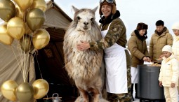 23 февраля в Альпака Парке Сокольники 2026