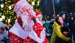 Новогодняя ночь 2019 в Лианозовском парке