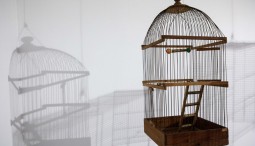 «Выставка одинакового искусства»