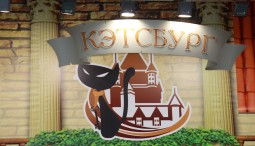 Международная выставка кошек «Кэтсбург-2016»