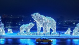 Световая инсталляция «Полярные медведи» 2021-2022
