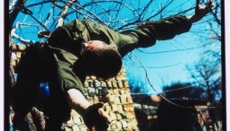 Выставка «Сергей Сапожников»