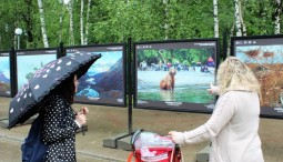 Выставка «Заповедная Россия»