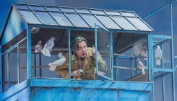 Спектакль «Любовь и голуби»