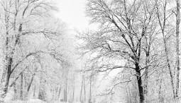 Выставка «Portfolio #2»