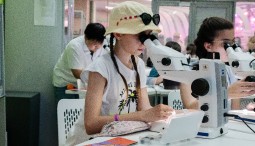 Большой научный квест от фестиваля  WOW!HOW? 2024