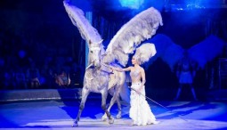 Цирковое шоу «Бурлеск!» 2019