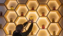 Всемирный день пчел на ВДНХ 2022