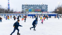 Каток в парке «Останкино» 2023–2024