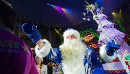 Новогодняя сказка «Тайна старых страниц» 2017/18