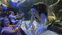 Подводное шоу «Приключение русалочек» 2021