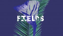 Фестиваль авангардной музыки Fields 2016