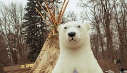 Арктический зимний фестиваль «Чувство снега» 2020
