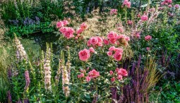 Фестиваль садов и цветов «Moscow Flower Show» 2019