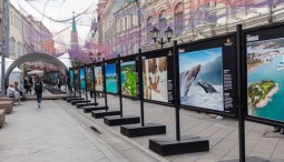 Выставка «Доминиканская республика: сокровище Карибского моря»