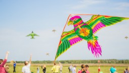 Фестиваль авторских воздушных змеев «ЛеТатлин №4» 2022