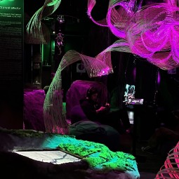 Иммерсивная мультимедиа выставка «SENSE. Почувствуй стихии»