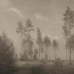 Выставка «Фотограф Николай Андреев. Мастер пикториализма»