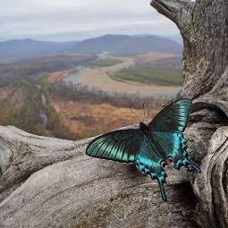 Выставка «Ритм стихий»