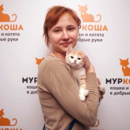 Выставка кошек в добрые руки «Неслучайная встреча»