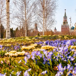 Топ-10 лучших событий на выходные 4 и 5 апреля в Москве 2026