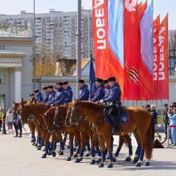 Выступление Кремлевской школы верховой езды на ВДНХ 2026