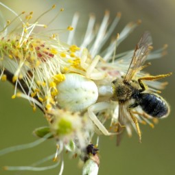Выставка «Искусство обмана»