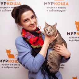Выставка «Бездомный кот»
