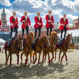 Конные шоу в московских парках 2016