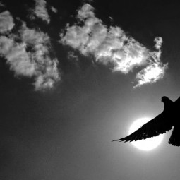 Выставка «Русское поле»